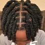 Shampoo and Style, Two Strand Twist