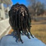 Coil Starter Locs (ear length)