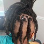 Starter locs