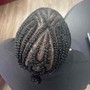 Comb Twist/ Coils