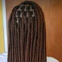 Large - 20” Twists