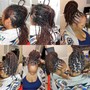 Passion Twist hair included