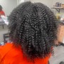 Mini Twists + Hair Added