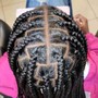 Feed-in Braids