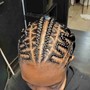 Feed-in Braids