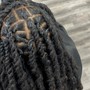 Butterfly over Locs