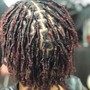 Starter Locs