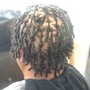 Starter Locs