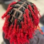 Comb Twist / Starter Locs