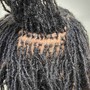 Traditional Loc Maintenance(90 Locs or less)(large)