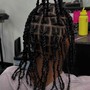 Two Strand Twists