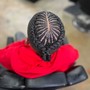 Jumbo Individual Braids/ 2 Strand Twist