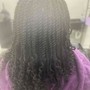 Butterfly Loc Extensions (Shoulder Length)