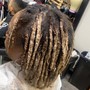 Root Touch Up