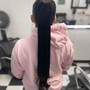 Sleek ponytail (Repunzel braid)