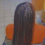 Senegalese Twist