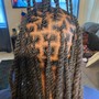 Starter Locs (Less than 2 inches)