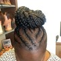 Braided Ponytail