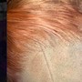 Single Process Color, Hair Glaze Treatment, Silk Press, Women's Trim