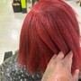 Color, Highlight,bleach, dye (2 color process)