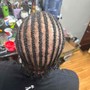 Large Starter Locs Half head