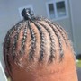 Tree Braids