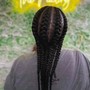 Feed-In Braid Ponytail (Large)