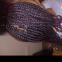 Smal Box Braids