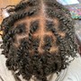 Invisible Loc Twist (on free form hair)