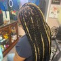 Havana Twists