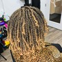 Havana Twists