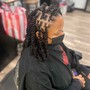 Starter Locs