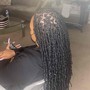 Jumbo Knotless braids