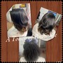 Sew In with hair out