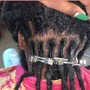 Short Loc Retwist