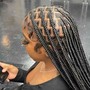 Medium feed in Box Braids