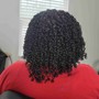 Takedown Crochet or sew-in w/ Shampoo