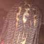 Tree Braids