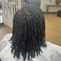 Two Strand Twist (Half)