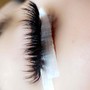 Eyelash Curl / Perm