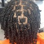 Natural Twists (MICRO-TWISTS)