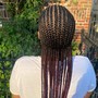 Large Feed-in Cornrows