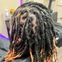 Starter Locs