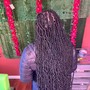 Fulani Braids