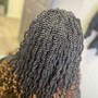 Bohemian Knotless Braids (Small)