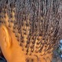 Medium feed in Box Braids