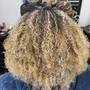 Color Touch-up/ roots only