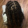 Partial Sew In