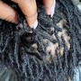 Starter Locs