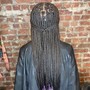 Medium knotless Braids (Bra length)